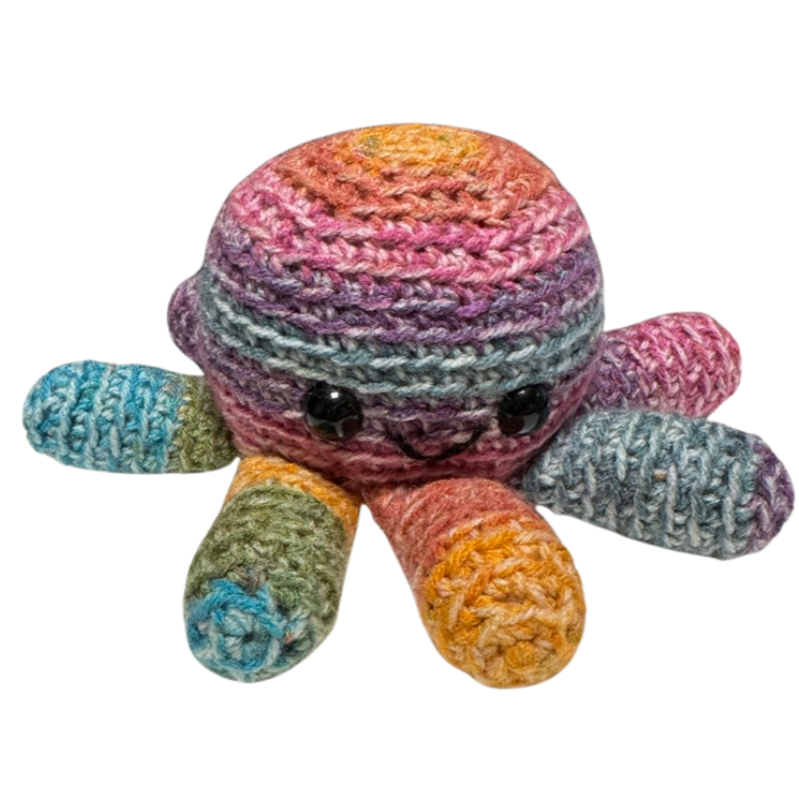 Rainbow Octopus